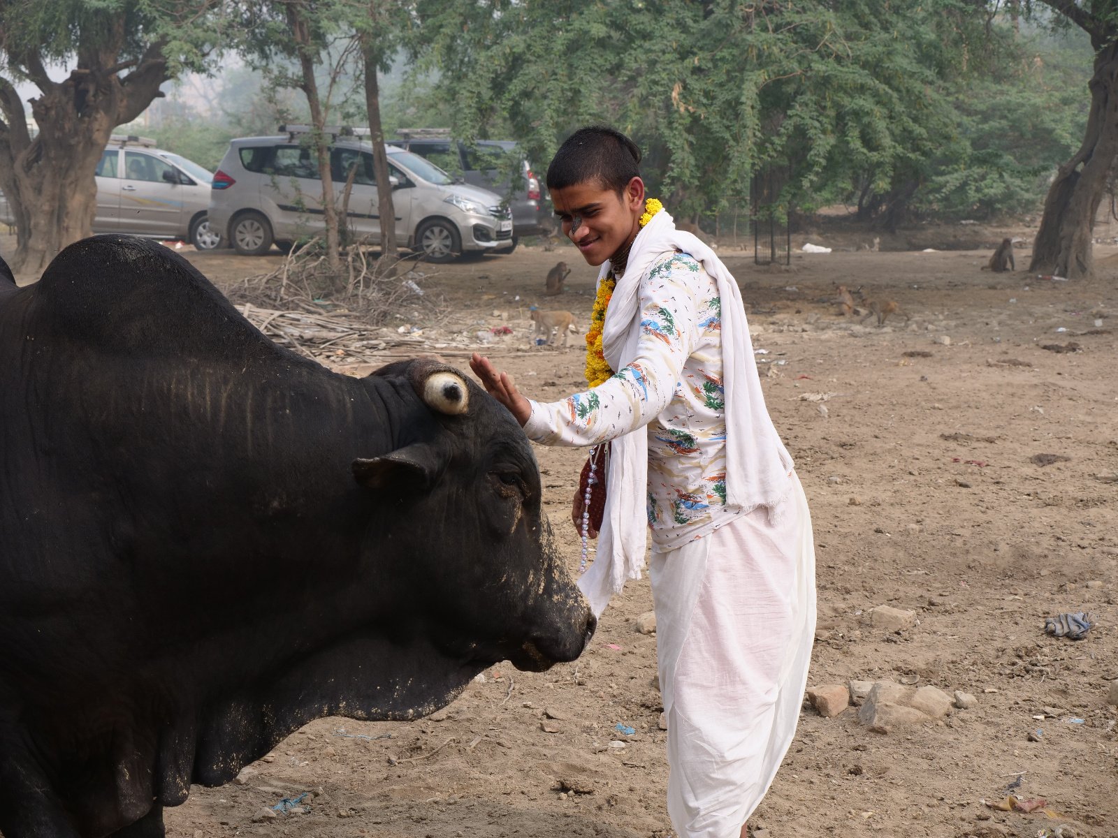  180 Gopashtami Radha kunda Govardhan 19.11.04